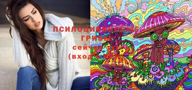 как найти закладки  Анива  Галлюциногенные грибы Magic Shrooms 